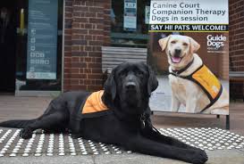 At guide dogs victoria, we provide vital support for victorians with low vision or blindness. Guide Dogs Victoria 2021 Graduation Day Australian Dog Lover
