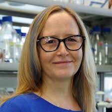 phd #academia #europeancommission #businessanalyst #vc #mentors #phdlife  #failureislearning #mentorshipmatters #unconventionalpaths