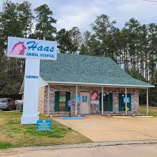 1,095 likes · 9 talking about this · 513 were here. All Pets Animal Hospital Rehabilitation Center Home Facebook