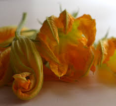 Whether you are shopping for the whole family or a. Stuffed Zucchini Flowers With Fried Cheese Capers And Mint