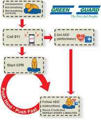 Chances Of Survival Are Doubled When Cpr Is Performed In