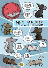 One source maintains that that is true for one species of frogs only, the one that happens to have been popularized by hollywood. Mice Animal Sounds Language European Day Of Languages