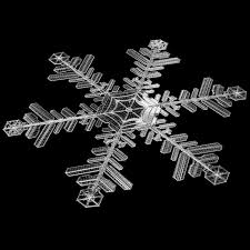 Snowflake Snow 3d Model 3d Model 3d Assets Snowflakes