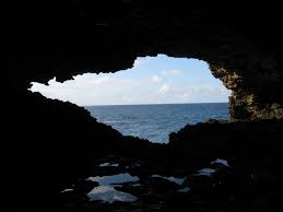Animal Flower Cave Barbados Been There Oh The Places You Ll Go Trip Happy Places