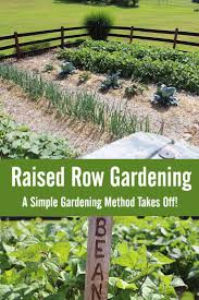 Raised Row Gardening Grows The Simple Growing Method Takes Center Stage Row Gardening Organic Gardening Tips Organic Vegetable Garden