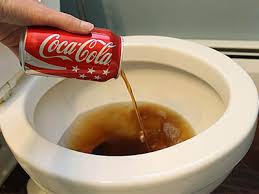 Debouchage Wc Bouche Rapide Efficace Par Deboucheur Pro Bruxelles