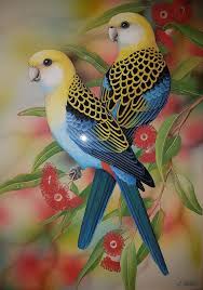 Pale Headed Rosellas By Lyn Cooke Paintings For Sale Bluethumb Online Art Gallery Bird Drawings Bird Painting Acrylic Birds Painting