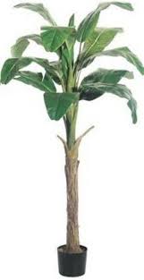 Bird Of Paradise Palm Tree One 5 Foot Artificial Silk Bird Of Paradise Palm Tree Potted Plant In 2020 Palm Tree Plant Plants Potted Trees