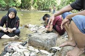 We did not find results for: Atitiviti Menuba Kelab Pencinta Royal Belum Temenggor Facebook