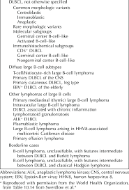 2008 World Health Organization Classification Diffuse Large