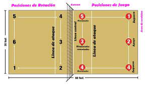Son los que se encargan de los remates. Reglas Del Voleibol Consejos Y Tips De Salud