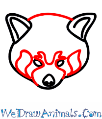 1280x720 how to draw a cute red panda (easy way) comment dessiner. How To Draw A Red Panda