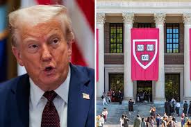 Harvard Students United To Fight Trump's 'Direct Attacks'