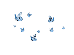 Aesthetic blue wallpapers and background images for all your devices. Cute Aesthetic Butterflies Wallpapers Wallpaper Cave