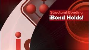 Your balance sheet contains a wealth of information about the financial state of your company as of the period end date. Ibond Icon Containment Solutions