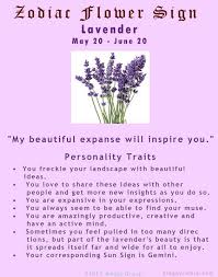 Zodiac Flower Sign Lavender Gemini Flower Zodiac Gemini