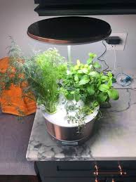 Most herbs need around 6 to 8 hours of sunlight each day. Tips For Growing Herbs In Containers For The First Time Sip Bite Go