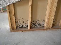 Dampness and moisture are among the leading causes of mold formation, so it is in your best interest to keep your basement walls completely dry. Why Basements Are The Perfect Home For Mold