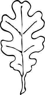 Oak leaf images clip art. Clipart Leaf Line Art Novocom Top