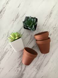 Some of the technologies we use are necessary for critical functions like security and site integrity, account authentication, security and privacy preferences, internal site usage and maintenance data, and to make the site work correctly for browsing and transactions. Easy Weathered Succulent Pots Southern State Of Mind Blog By Heather