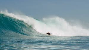 According to famousdetails, she was born in the year of the dog.brazilian pro surfer who has competed on the world surfing league men's world tour since 2015. Jeffreys Bay Italo Ferreira Surfers Mag