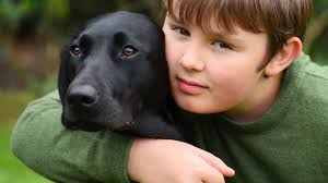 People rally to help family of poisoned support dog in Martham