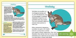 Perhaps the species is breeding in wild and the young animals are dispersing away from their mothers. Wallaby Fact File