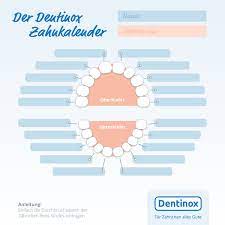 Babys zähne sind ein wichtiger entwicklungsschritt. Dentinox Zahne Baby Wissenswertes Zur Zahnung Zahnpflege Etc