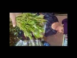 ضرب سياج من العزلة على مناطق القسم الإسلامي. Ø§Ù„Ù‚Ø§Øª Ø§Ù„Ù‡Ø±Ø±ÙŠ ÙÙŠ Ø§Ù„Ø­Ø¨Ø´Ù‡ Ø´Ø§Ù‡Ø¯ Ø³ÙˆÙ‚ Ø§Ù„Ù‚Ø§Øª Ù‡Ù†Ø§Ùƒ Ø§Ø¬Ù…Ù„ Ù…Ù‚ÙˆØªÙŠÙ‡ Ù…Ø¨ÙˆØ±Ù‡ ÙÙŠ Ø§Ø«ÙŠÙˆØ¨ÙŠØ§ Youtube