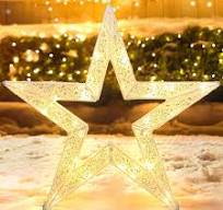 North Star Christmas Light | Wayfair