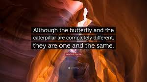 Kendrick received a grammy for this album and he mentioned his friend mozzy who is one of the famous rapper, like my guy mozzy say, 'god up top all the time…'. Kendrick Lamar Quote Although The Butterfly And The Caterpillar Are Completely Different They Are One And