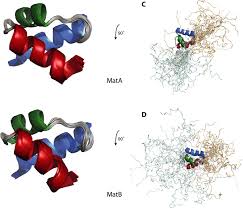 Watchers of samsara is a new dota 2 custom game, in case you haven`t played, you should should check it out. Solution Structures Of Mata And Matb Determined By Nmr Spectroscopy Download Scientific Diagram