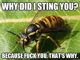 Nuisance Wasp Memes Quickmeme Funny Google Searches Bee Lol