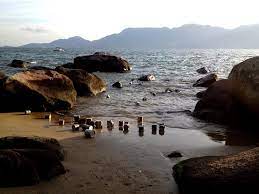 0 di 0 utenti generi: Verao Da Lata Um Verao Que Ninguem Vai Esquecer