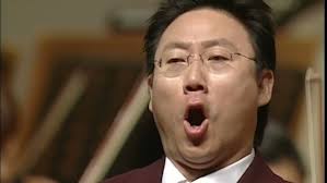 G.Verdi : Celeste aida