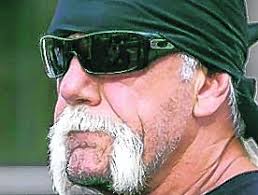 Hulkamania, now for sale in Clearwater Beach