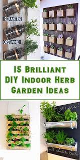 15 Brilliant Diy Indoor Herb Garden Ideas Diy Herb Garden Indoor Herb Garden Herbs Indoors