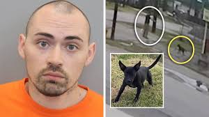 Houston animal cruelty: Daniel Schaeffer pleaded guilty to June 2022  killing of neighbor's 4-month-old Labrador in Third Ward