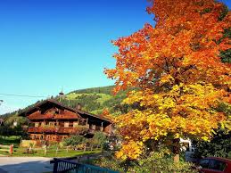 Wildschonau Tirol Wildschonau Osterreich