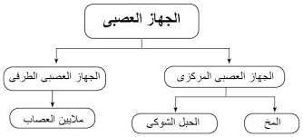 Ù†ØªÙŠØ¬Ø© Ø¨Ø­Ø« Ø§Ù„ØµÙˆØ± Ø¹Ù† Ø·Ø±ÙŠÙ‚Ø© ØªÙ„Ø®ÙŠØµ Ø§Ù„Ø¯Ø±ÙˆØ³