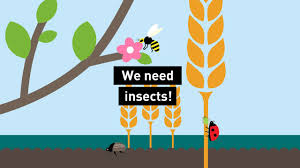 Introduction to integrated pest management (ipm) 2: The Insect Atlas 2020 Heinrich Boll Stiftung