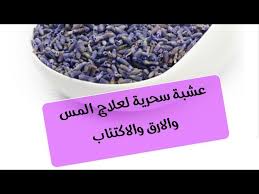 فوائد الخزامى للجنس يبحث الكثير من الرجال عن فوائد الخزامى للجنس وذلك لأن اللافندر عشب سحري له العديد من الفوائد… ØªØ­Ø¶ÙŠØ± Ù…Ø´Ø±ÙˆØ¨ Ø§Ù„Ø®Ø²Ø§Ù…ÙŠ Ù„Ø¹Ù„Ø§Ø¬ Ø§Ù„Ø§ÙƒØªØ¦Ø§Ø¨ ÙˆØ§Ù„Ø£Ø±Ù‚ ÙˆØ§Ù„ØªÙˆØªØ± Ø£ÙØ¶Ù„ Ù…Ø´Ø±ÙˆØ¨ Ù„ØµØ­ØªÙƒ Ø³ØªØªÙ†Ø§ÙˆÙ„Ù‡ Ø¯Ø§Ø¦Ù…Ø§ Youtube