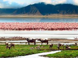 Ngorongoro Crater - 2D/1N gallery 2