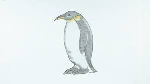 How To Draw A Penguin With Pictures Wikihow When i gave my teacher one of your drawings, all my friends saw them they were saying thats so cute and how did you draw that! how to draw a penguin with pictures
