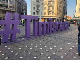 Dfmt stands for directia fiscala a municipiului timisoara. PrimÄƒria Municipiului TimiÈ™oara Linkedin
