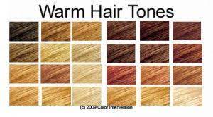 Hair Color Chart Warm Skin Tones Rebecca For Hair Tone Hair Hair Color Chart Hair Colour For Cool Skin Tone