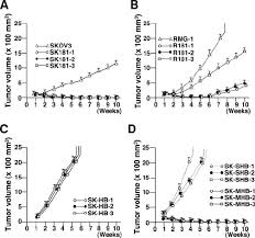 Instead, the cancer cells build up in the blood and sometimes the bone marrow. Tumor Formation Of Ovarian Cancer Cells In Nude Mice Skov3 Cells And Download Scientific Diagram