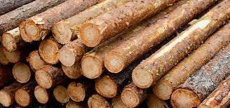 Log(z) is the set of complex numbers v which satisfy e v = z arg(z) is the set of possible values of the arg function applied to z. The Great Log Export Drain Bc Government Pursues Elusive Lng Dreams As More Than 3 600 Forest Industry Jobs Lost To Raw Log Exports Policy Note