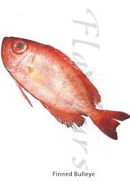 Confused Over Fish Names Finned Bulleye Fish Finding Difficulty Recognizing Fishes In The Market Confused Over Fish Names Identi Fish Over Fish Sea Fish
