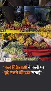 मुंबई के मालाड में फल विक्रेताओं पर फलों पर चूहा मारने की दवा लगाने का आरोप  लगा है। इस मामले में पुलिस ने दो फल विक्रेताओं के खिलाफ कार्रवाई की है।  बताया गया है कि आरोपियों ने कहा कि फलों को चूहे ना ...